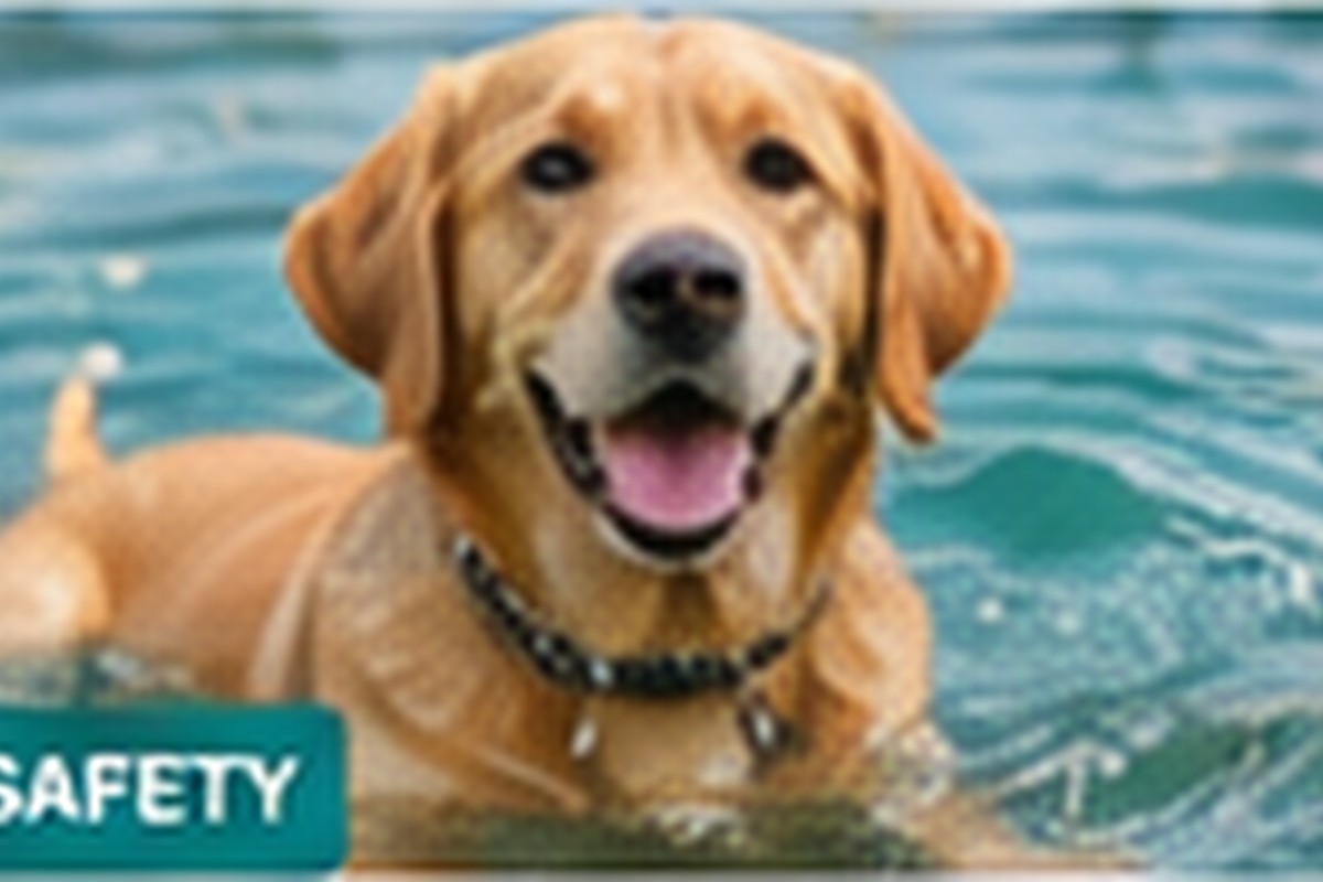 Cold-Weather Walks: Finding the Right Length for a Small Dog